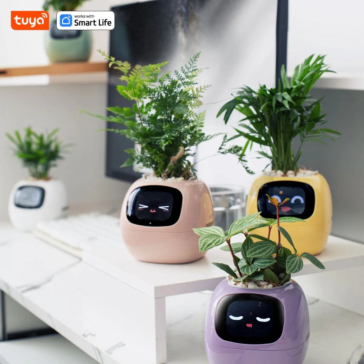Tuya Ivy Smart Planter🌳