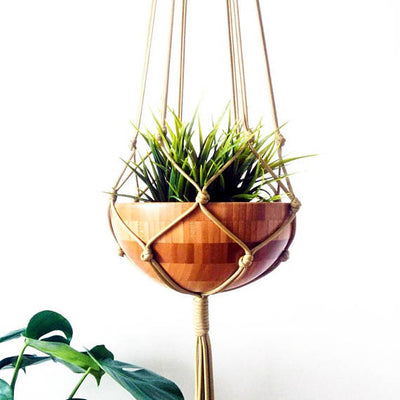 Macrame Plant Hanger